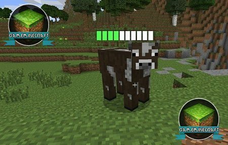 [1.7.4] Мод Entipy - HP bars for mobs