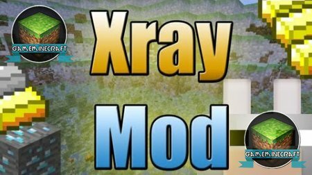Xray (Fly) [1.8] для Minecraft